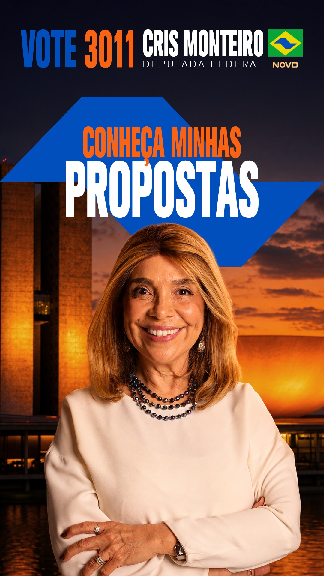 Quero fazer algo que tem se tornado extremamente raro e antiquado na política: apresentar propostas.