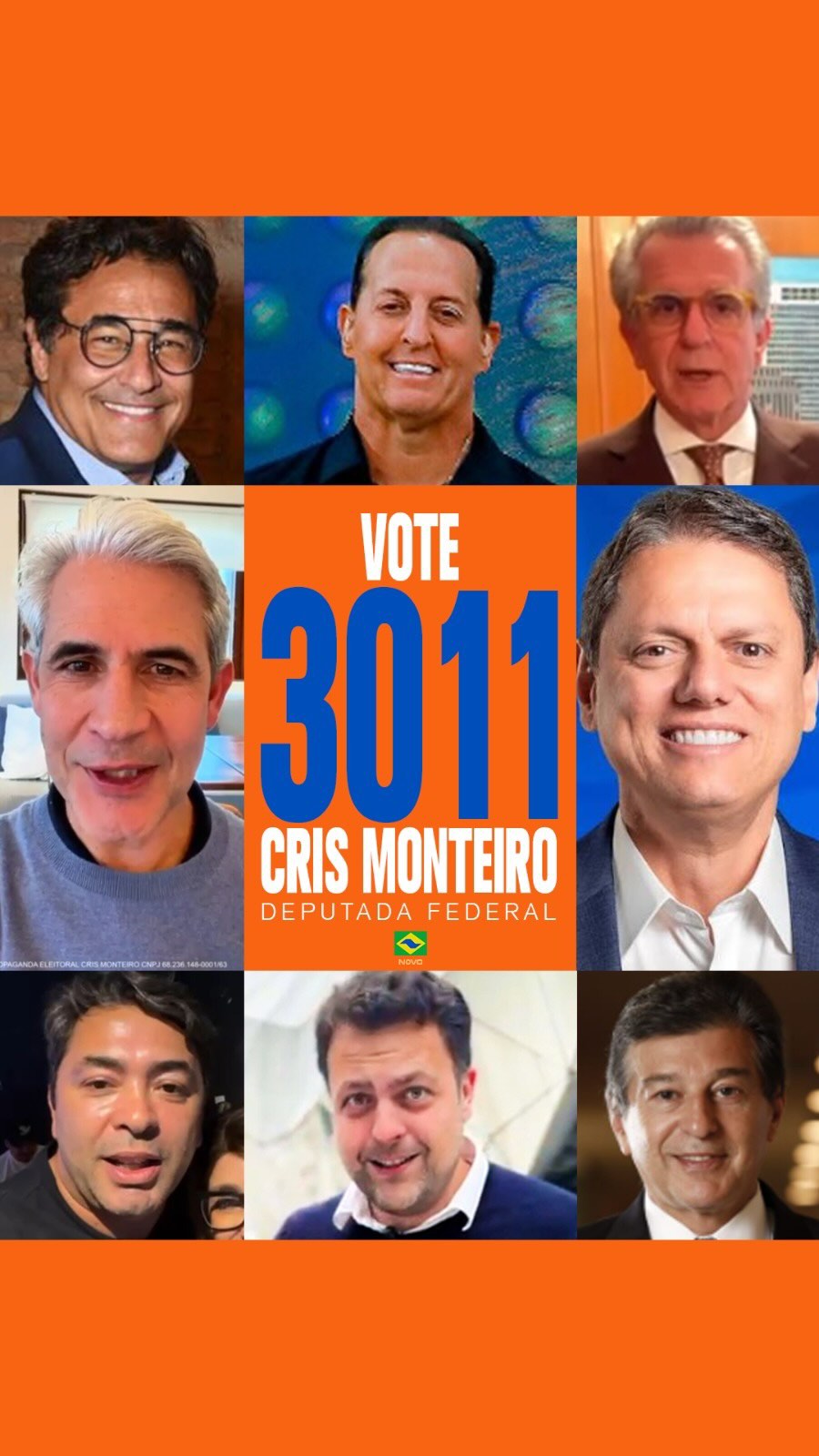 Vote Federal Cris Monteiro 3011